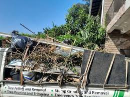 Best Shed Removal  in Greensburg, IN